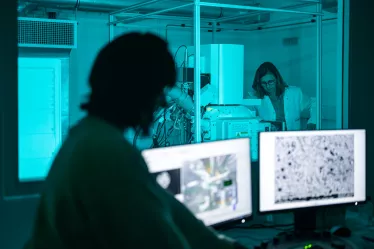 Plateforme de Bio-Imagerie Ultrastructurale.