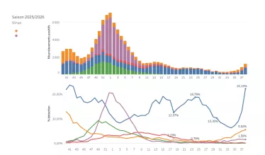 Circulation des virus respiratoires données hospitalières S38_26