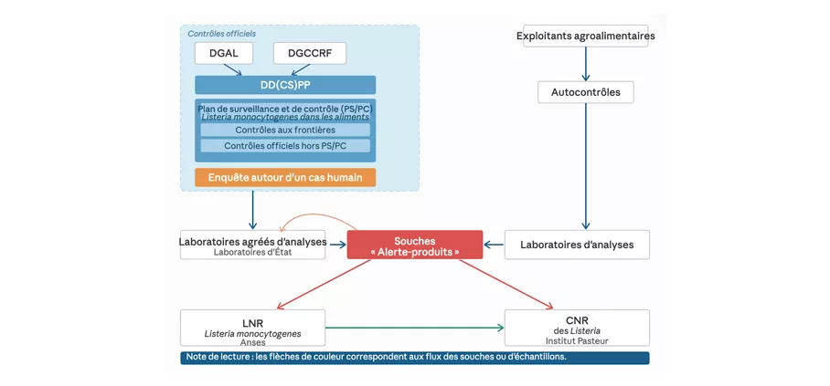 Circuit des souches sur le schéma de surveillance microbiologique français