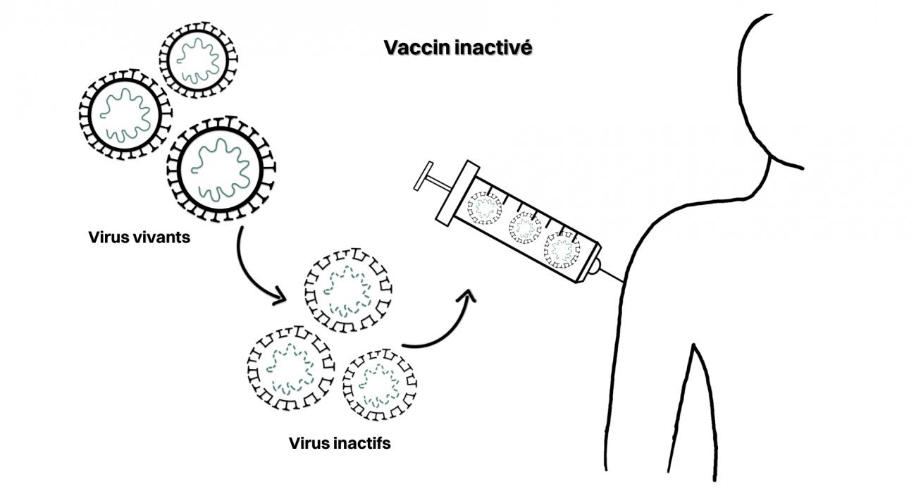 Principe Vaccin inactivé