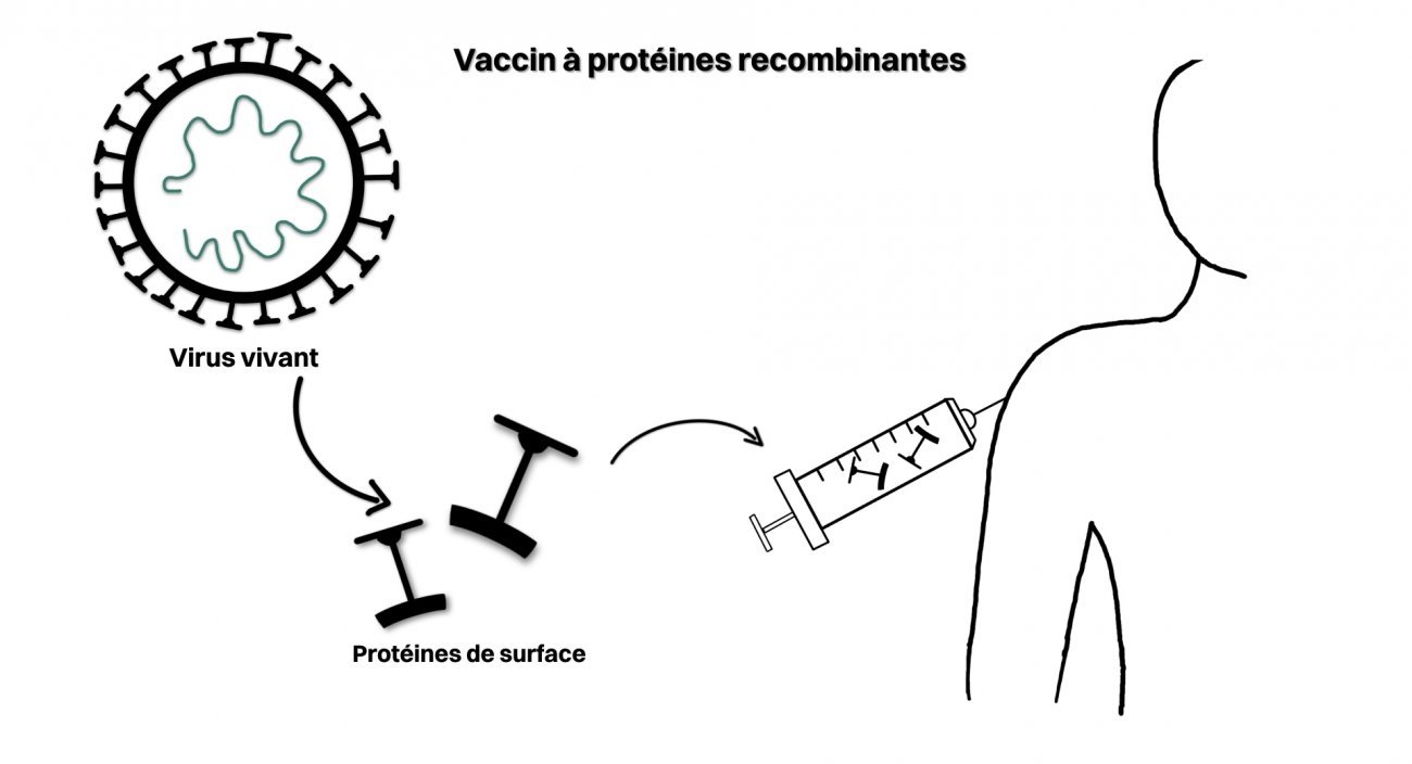 principe vaccin à protéines recombinantes