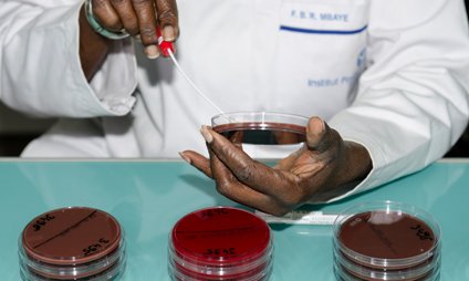 Projet BIRDY : Infections néonatales et résistance aux antibiotiques - Institut Pasteur