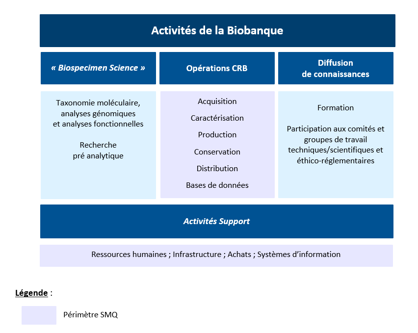 activites biobanque