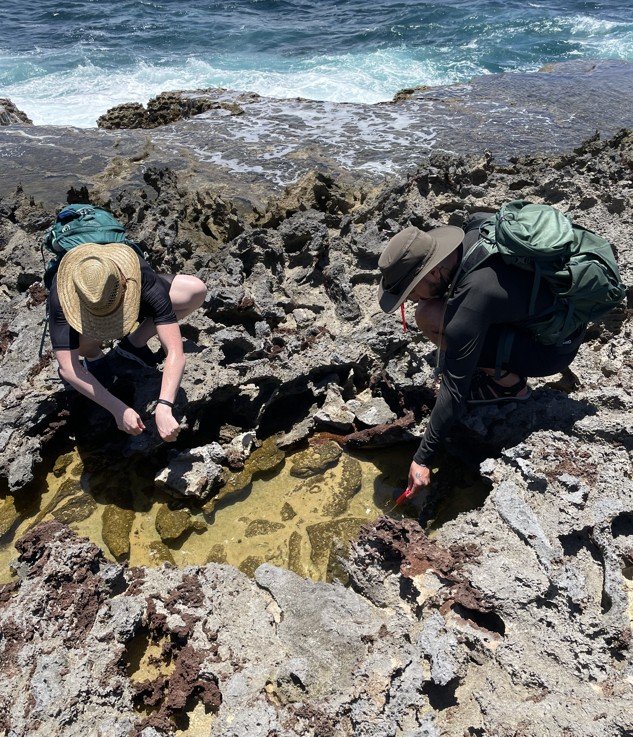 Núria Ros-Rocher et Josean Reyes-Rivera effectuant des prélèvements sur l’un des lieux de vie de C. flexa 
