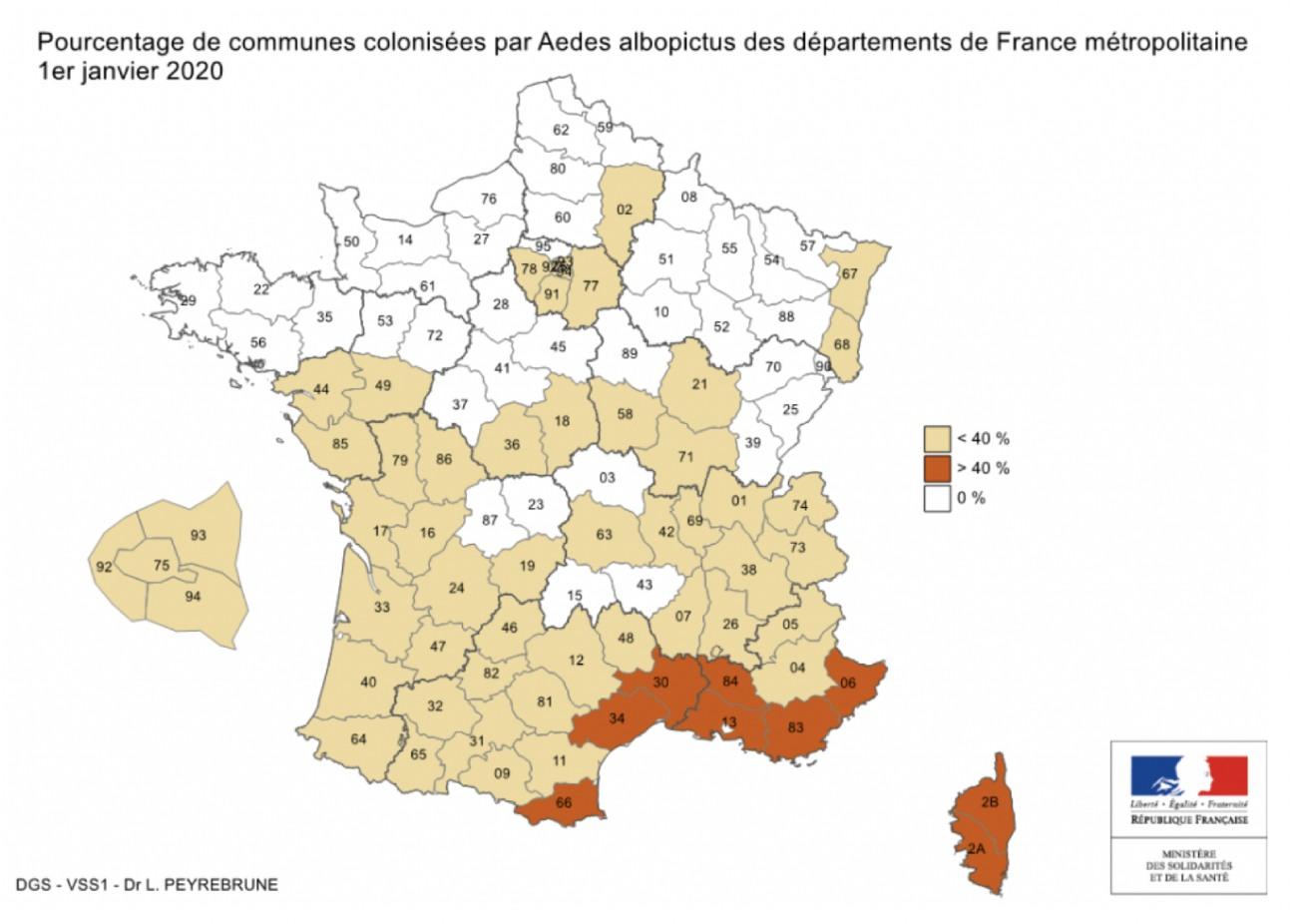 Tiger mosquito in France: 58 départements on red alert - Institut Pasteur