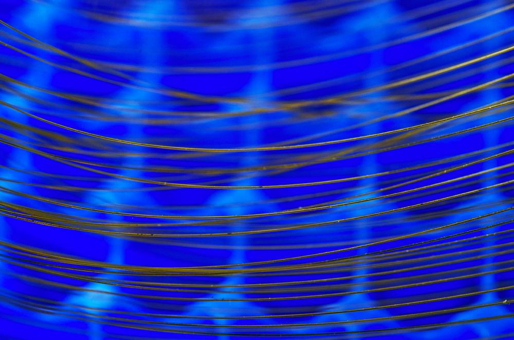 CeRIS - Patrimoine numérique - Institut Pasteur