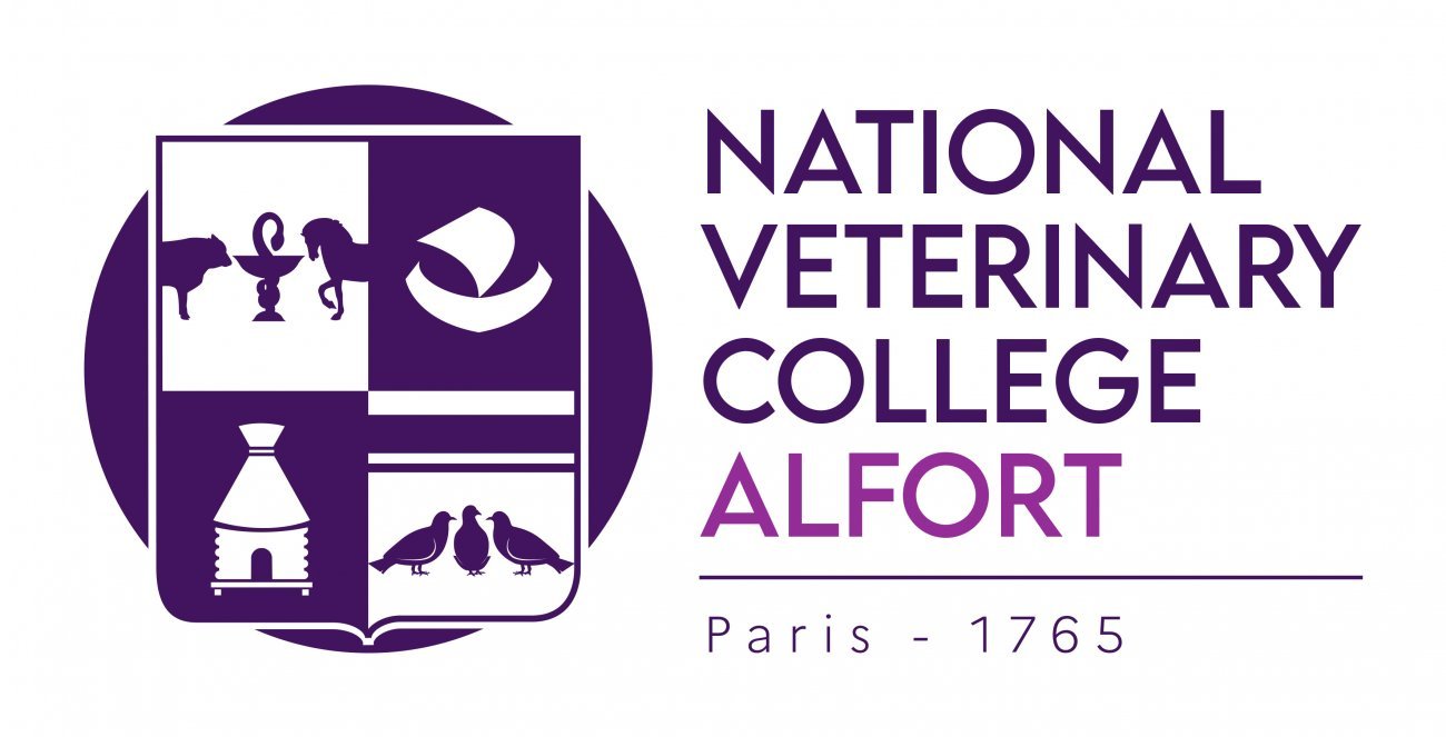 logo ENVA