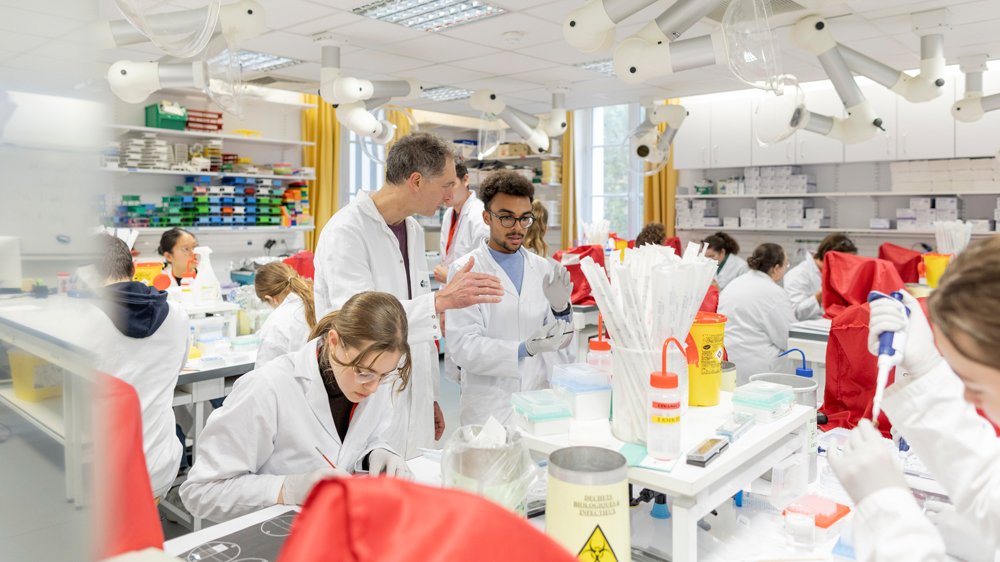 travaux pratiques cours pasteur