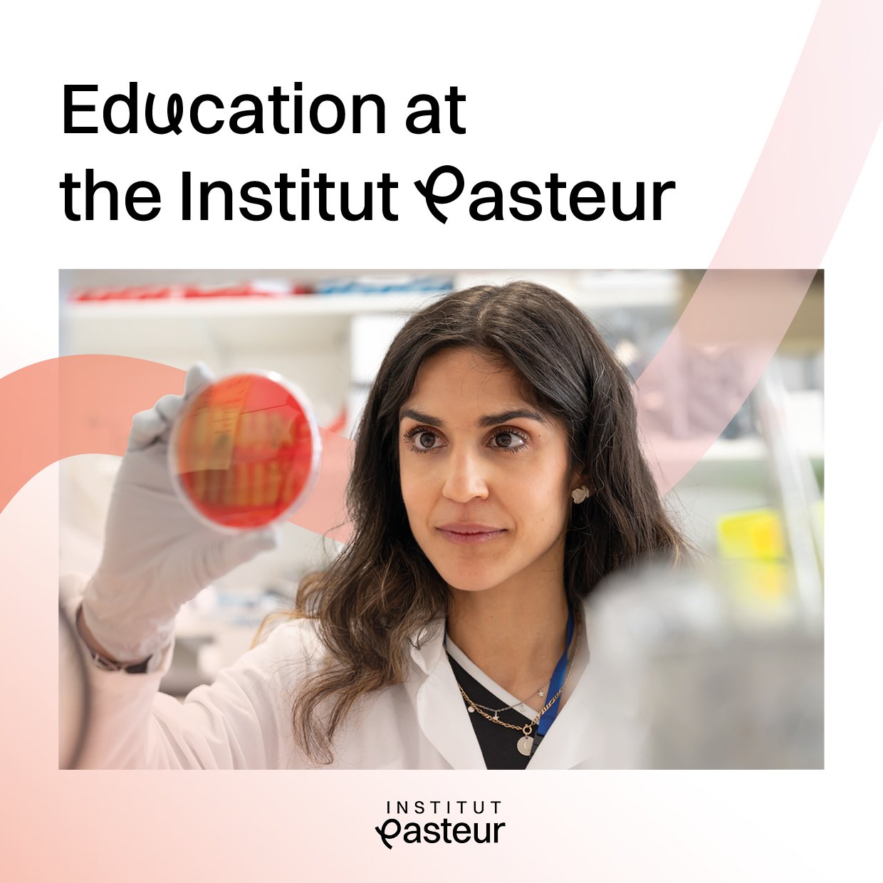 Discover the interactive leaflet of Institut Pasteur Education Center - 2022