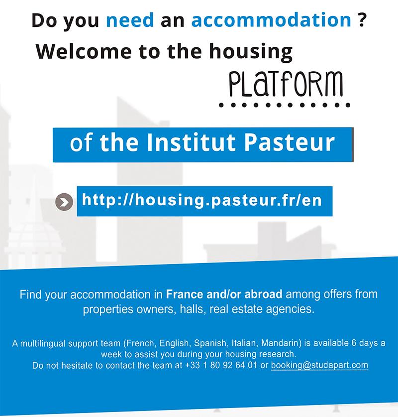 Enseignement - Hébergement - Plateforme Logement - Institut Pasteur