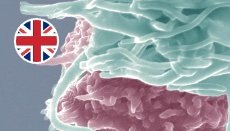 advanced_immunology advanced_immunology