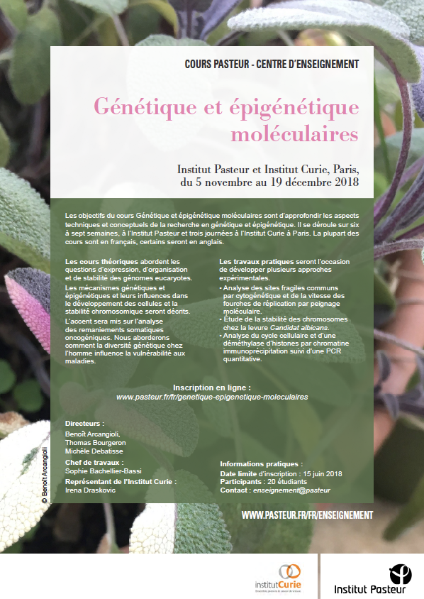 Flyer du cours : Génetique et épigénetique moléculaire 2018 Molecular genetics and epigenetics courses 2018- flyer