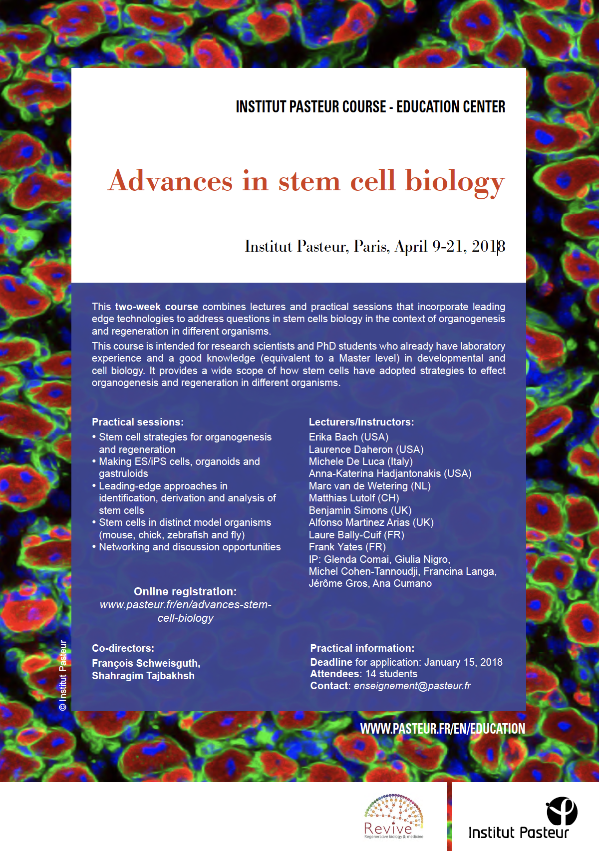 photo-cours-advances-in-stem-cell-biology photo-cours-advances-in-stem-cell-biology