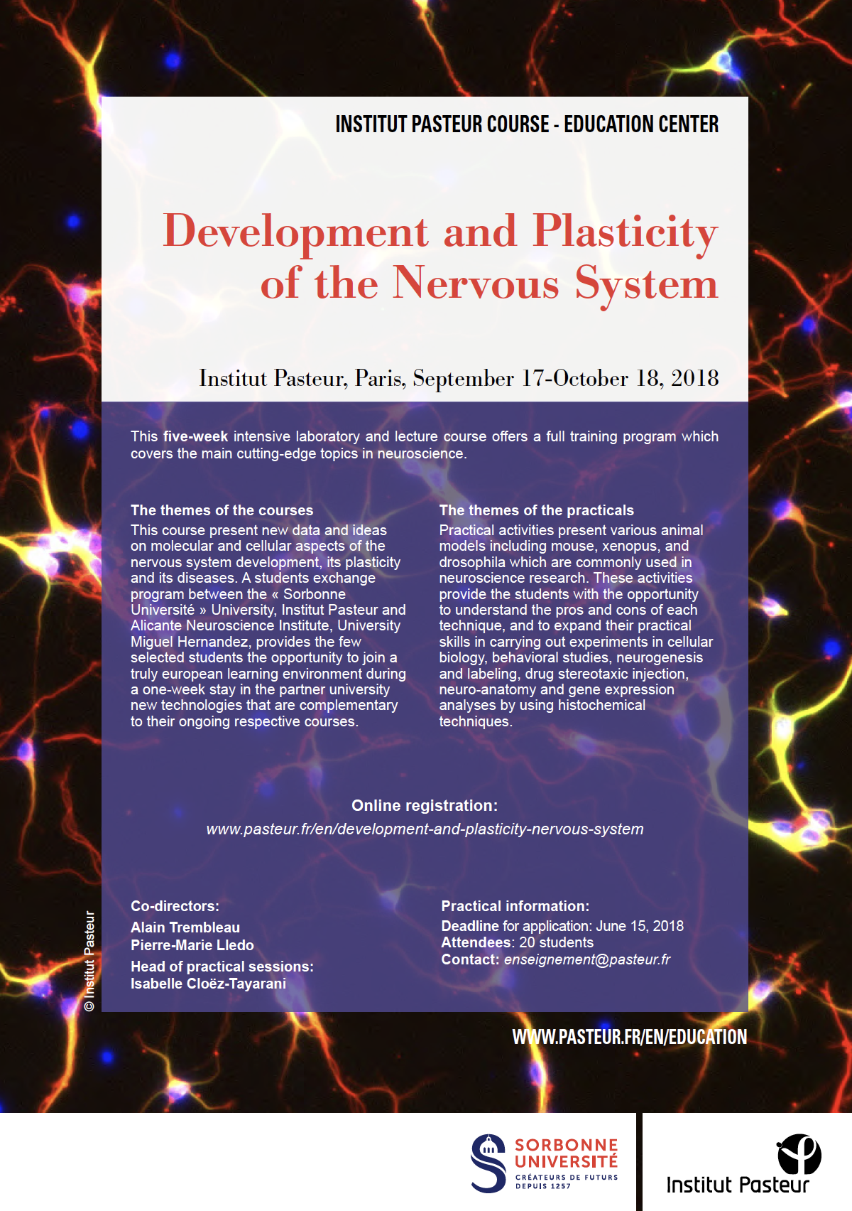 photo-flyer-nervous-system 2018 Development and plasticity of the nervous system Flyer - Course 2018