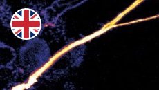 principle_and_application_fluorescence_microscopy principle_and_application_fluorescence_microscopy