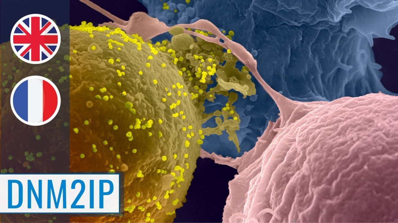 MOOC immunity MOOC Innate Immunity