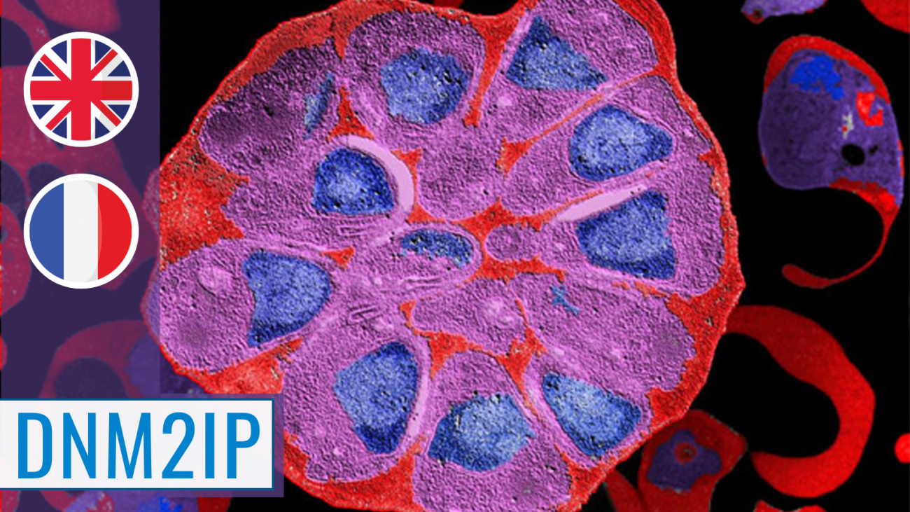 Malaria MOOC Malaria MOOC