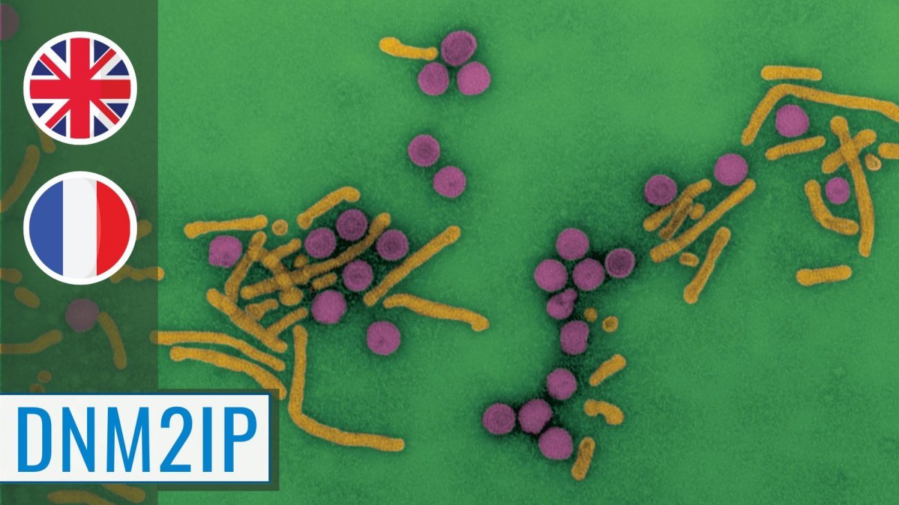 MOOC Viral hepatitis