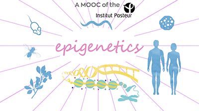 Mooc de l'Institut Pasteur Mooc de l'Institut Pasteur
