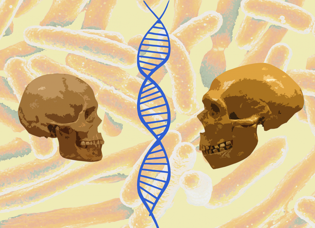 MOOC human population and evolutionary genetics human population and evolutionary genetics picture