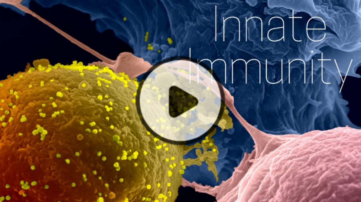 Innate Immunity MOOC - Institut Pasteur