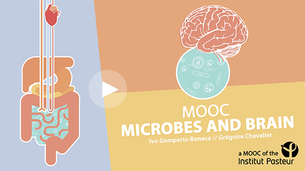 MOOC Microbes & Brain -  Institut Pasteur