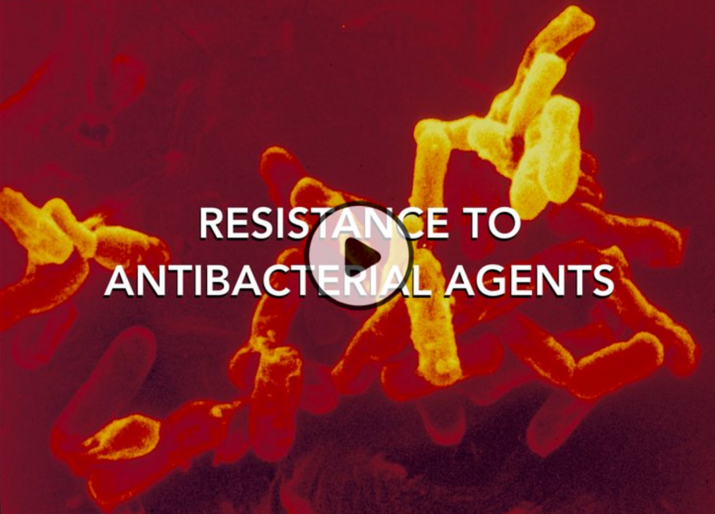 Resistance to antibacterial agents Resistance to antibacterial agents
