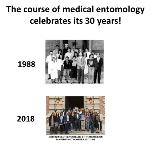 Photo entomology Course 30 years Photo entomology Course 30 years