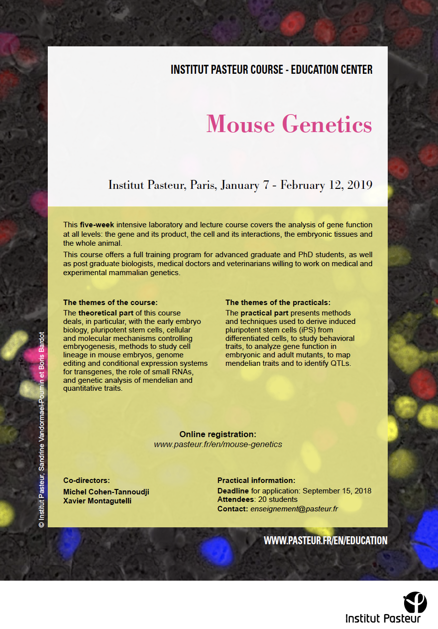 Image du flyer : cours Mouse Genetics 2018 Image du flyer : cours Mouse Genetics 2018