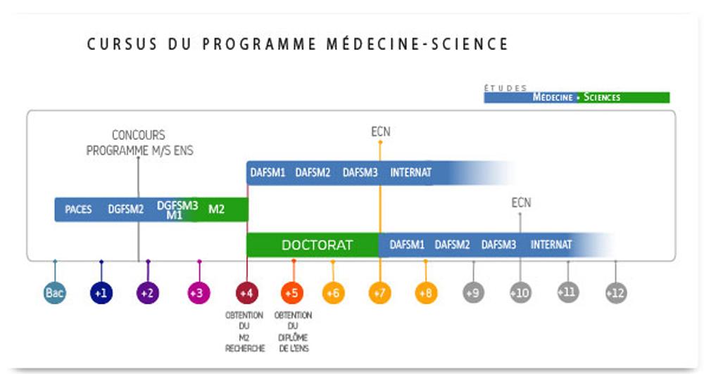 Cursus Medecine