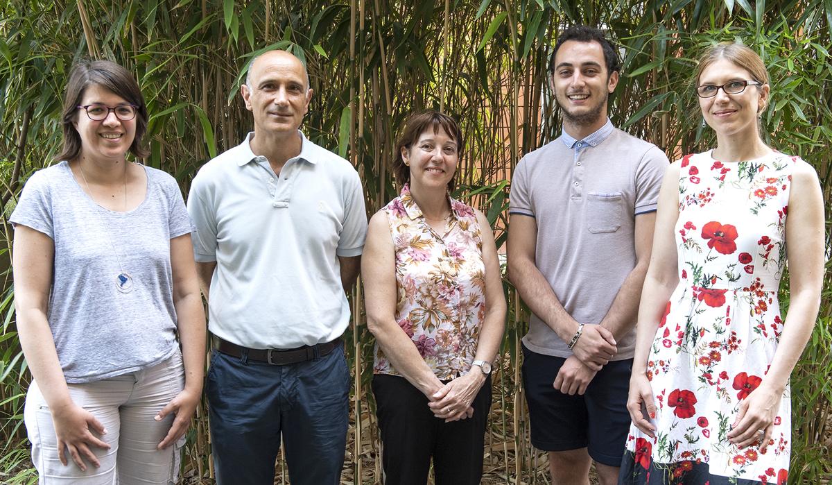 2019 organizing team: Marine Oberkampf, Vincenzo Di Bartolo, Sylvie Malot, Nicolas Malausse, Sonja Kuhn 2019 organizing team: Marine Oberkampf, Vincenzo Di Bartolo, Sylvie Malot, Nicolas Malausse, Sonja Kuhn
