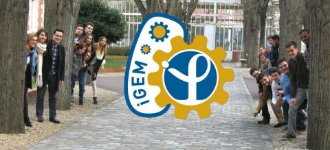 IGEM-2015-TEAM