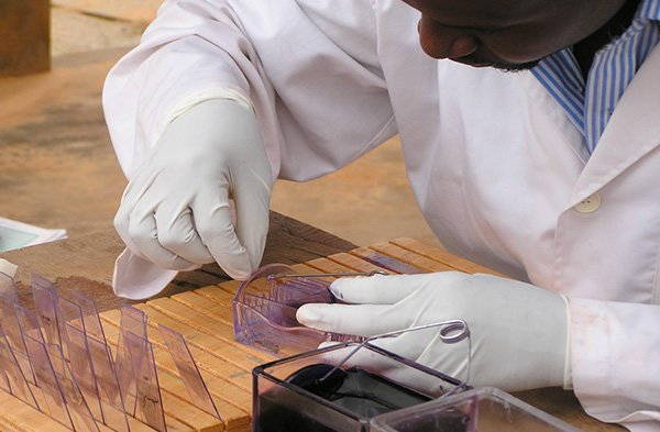 Bourses et aides à la mobilité, photo de laboratoire - Bourses Calmette & Yersin - Institut Pasteur