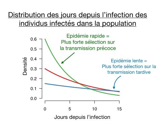 Institut Pasteur