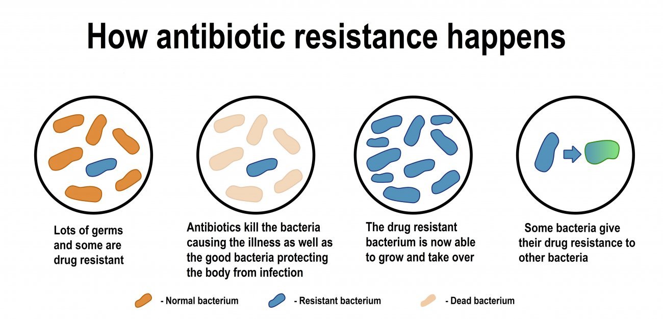 how_antibiotics_resistance_happens