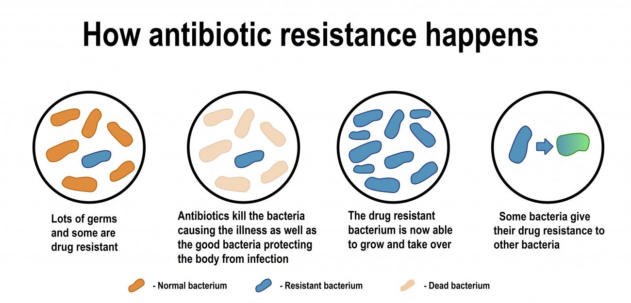how_antibiotics_resistance_happens how_antibiotics_resistance_happens