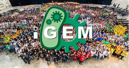 Competition iGEM et équipe iGEM-Pasteur