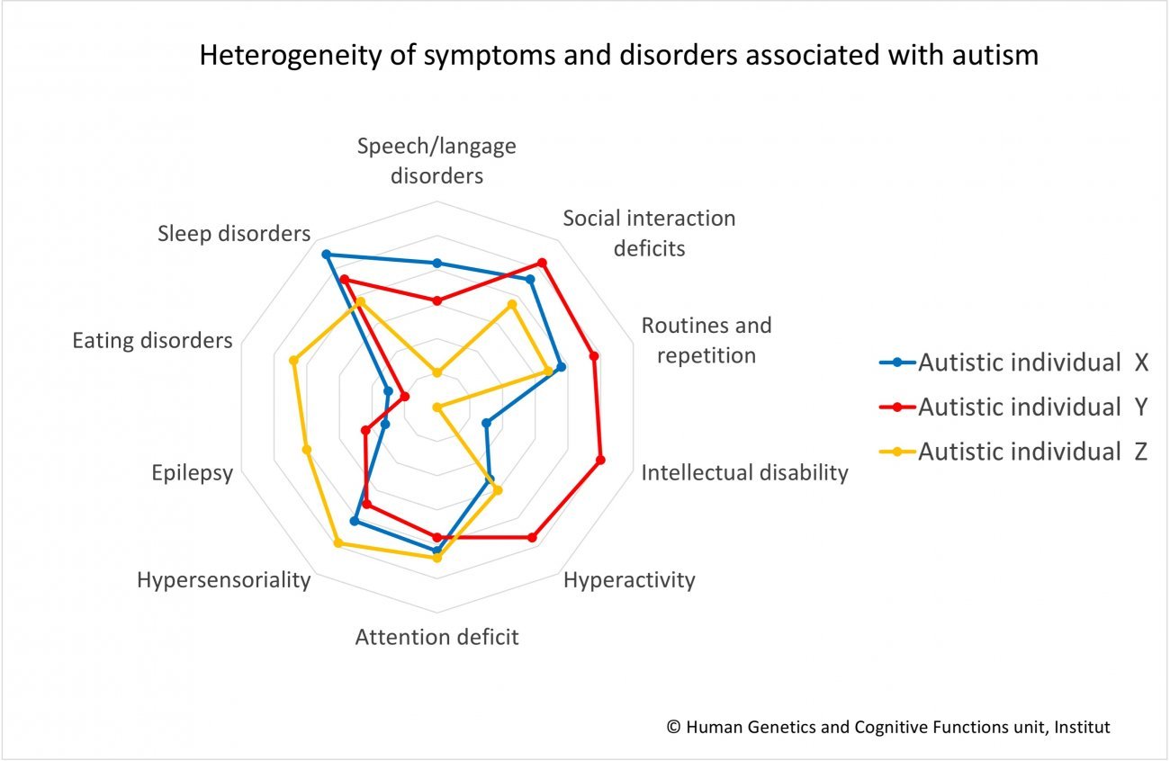 Heterogeneity of symptoms and disorders associated with autism - Institut Pasteur