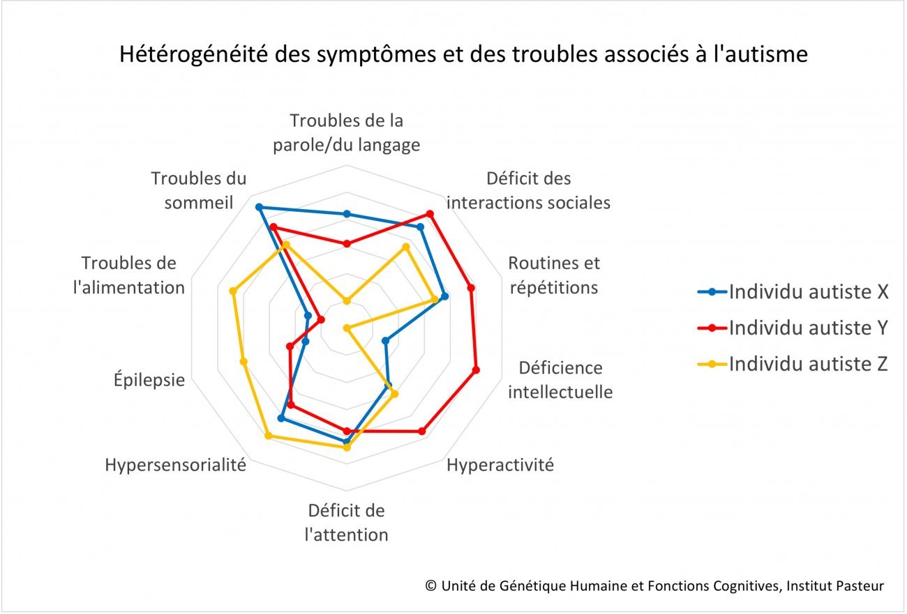 Hétérogénéité des symptômes et des troubles associés aux TSA - Institut Pasteur