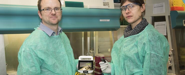 Hépatite C : un nouveau test de diagnostic au chevet du patient Hépatite C : un nouveau test de diagnostic au chevet du patient