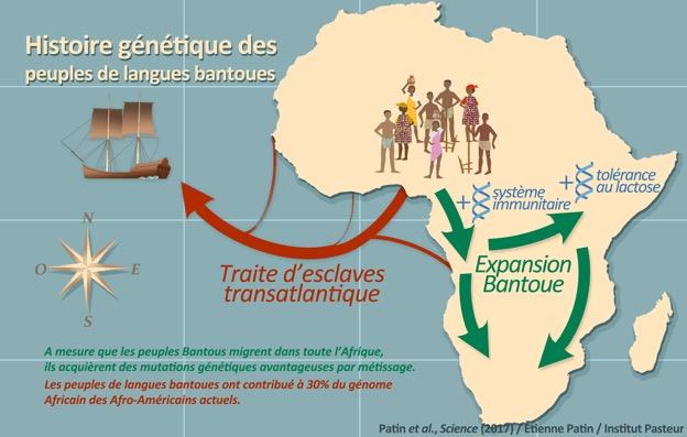 Histoire génétique des peuples de langues bantoues - Institut Pasteur