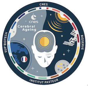 Blason CNES SupBiotech Pasteur Cerebral Ageing Blason CNES SupBiotech Pasteur Cerebral Ageing