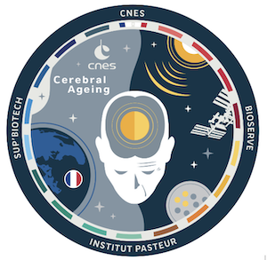 Blason CNES SupBiotech Pasteur Cerebral Ageing