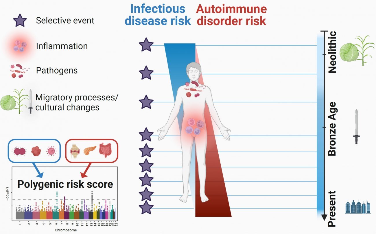 Using paleogenomics to elucidate 10,000 years of immune system evolution 