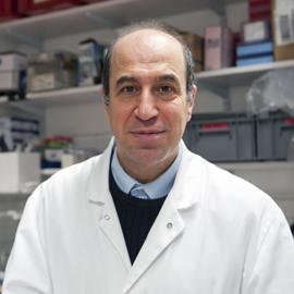 Muhamed-Kheir Taha, Institut Pasteur