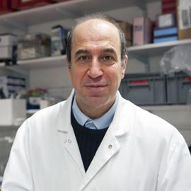 Muhamed-Kheir Taha, Institut Pasteur Muhamed-Kheir Taha, Institut Pasteur