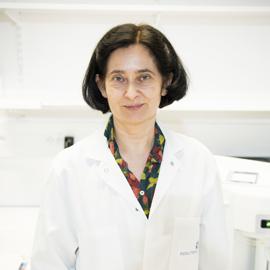 Lisa Chakrabarti Lisa Chakrabarti
