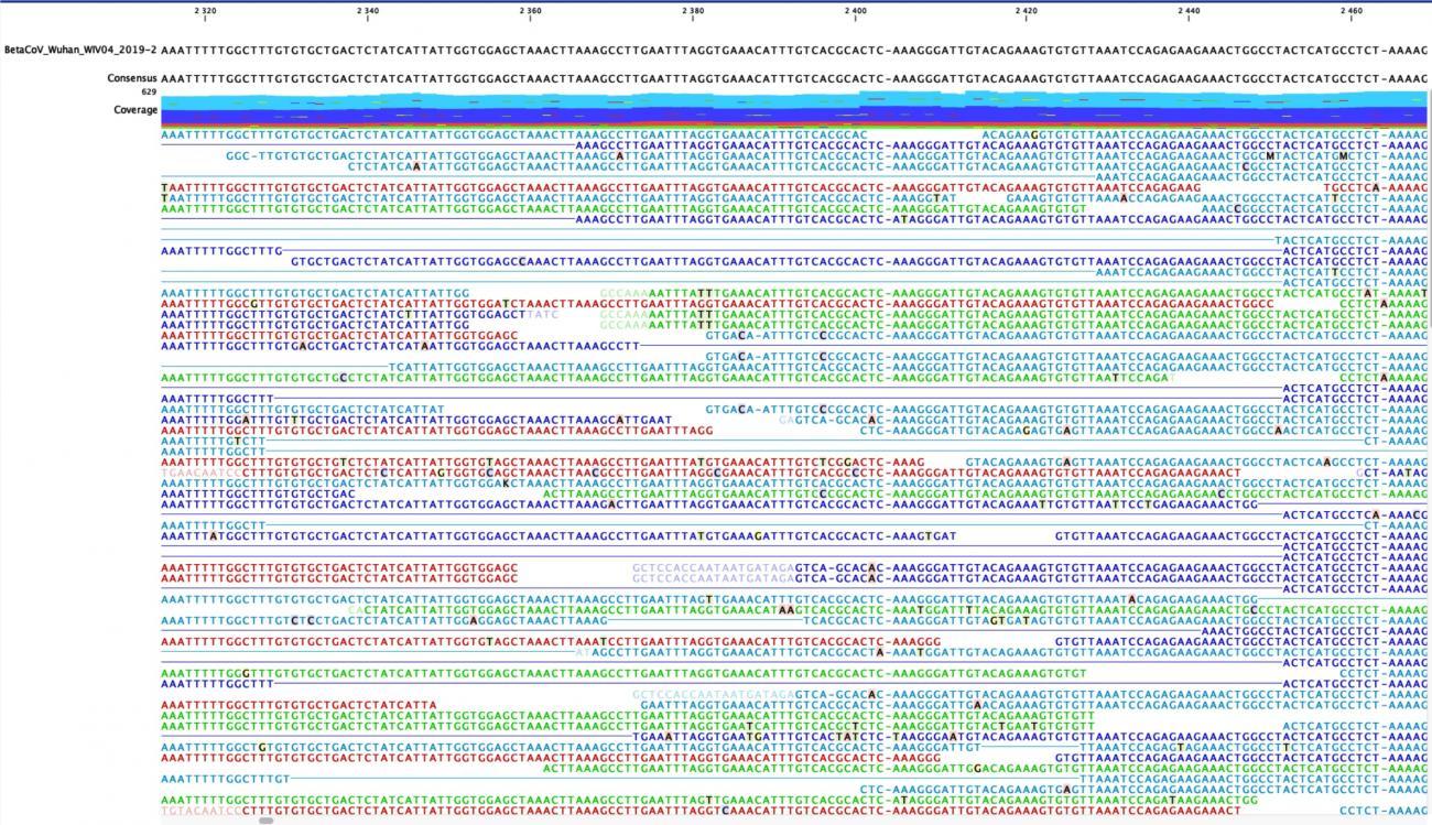 Coronavirus - Wuhan - 2019-nCoV - Institut Pasteur