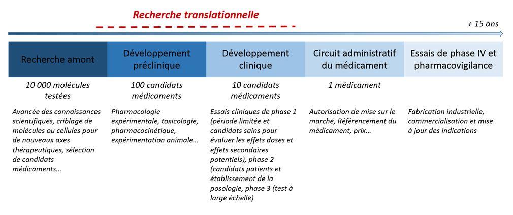 recherche translationnelle - idmit - cea