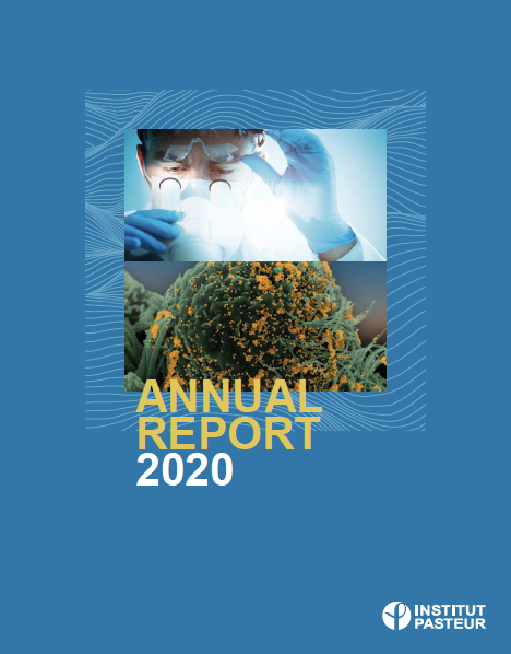 2020-Annual report Download the pdf